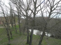 Al fondo, la ciudad entre las ramas